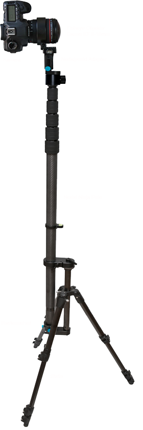 Nodal Ninja Pole